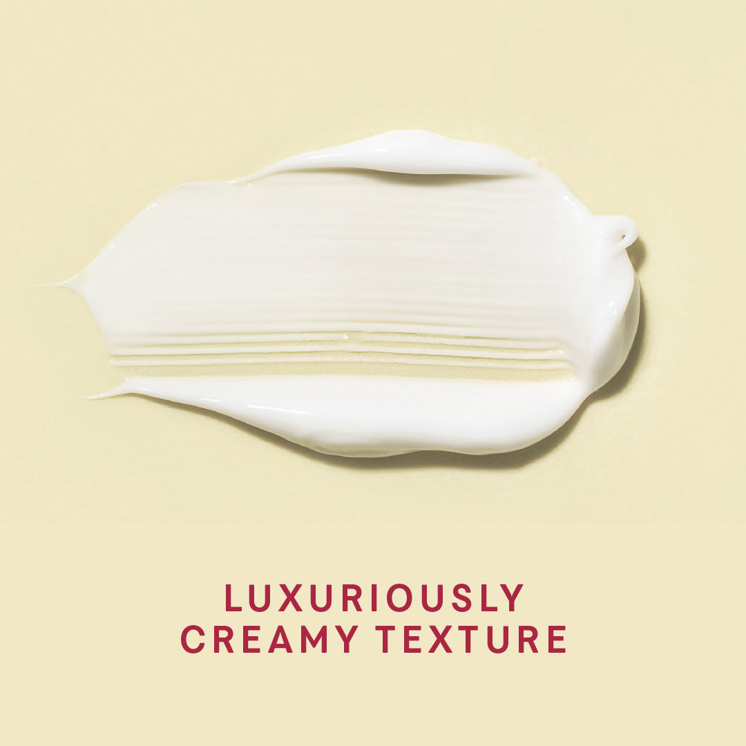 WHIPPED STRAWBERRY CHEESECAKE Euforia Wholesale